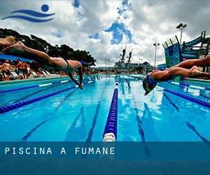 piscine fumane|Aquatiques